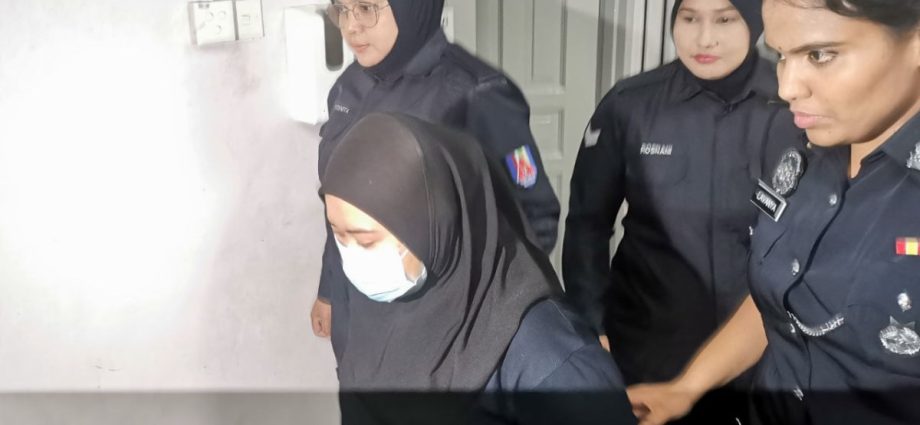 Woman pleads guilty to negligence involving 2 babies at Johor childcare centre