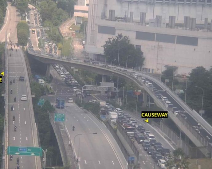 250,000 travellers departed Singapore via Woodlands, Tuas Checkpoints on Jun 1
