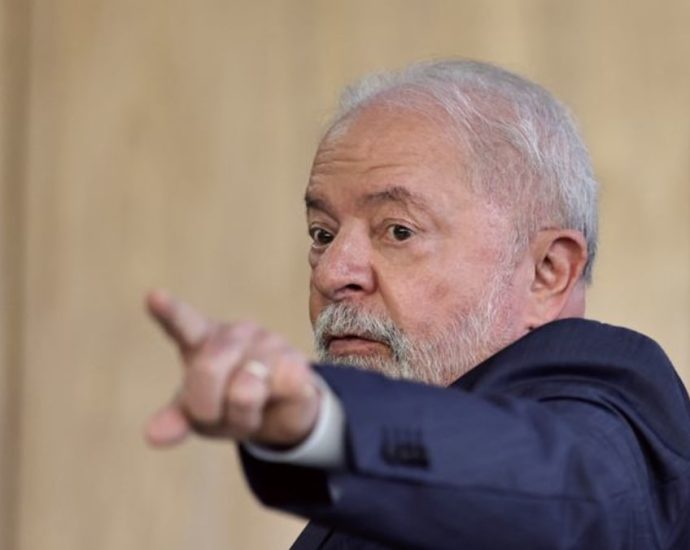 Brazil’s Lula unveils plan to stop deforestation in Amazon by 2030