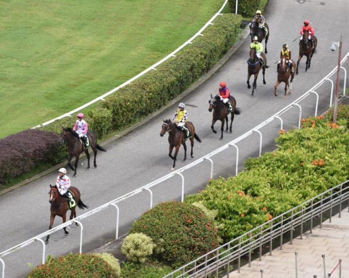 CNA Explains: Why exporting hundreds of horses from Singapore Turf Club will be a âmassive taskâ