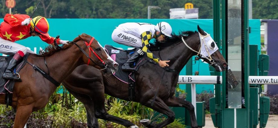 Commentary: Was the writing on the wall for horse racing in Singapore?