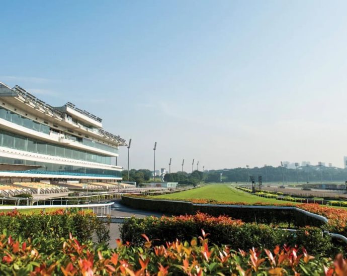 Homes, high-tech farms and sports facilities: What Singapore Turf Club site might be used for
