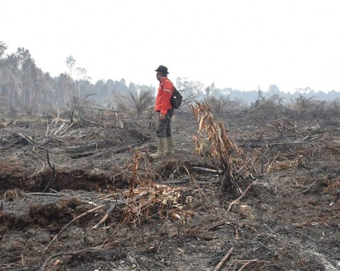 Indonesia braces for forest fires amid possible prolonged dry weather due to El Nino