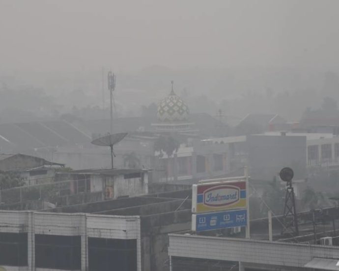 Indonesia preparing 'very well' for haze amid possible return of El Nino, says minister