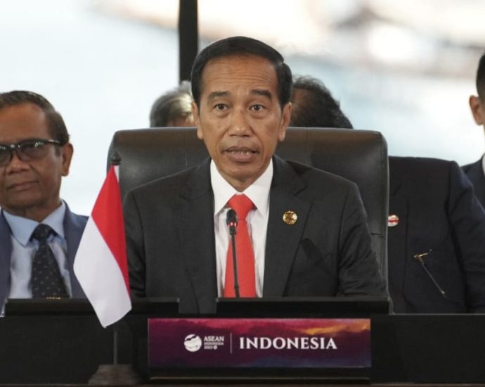 Indonesian President Joko Widodo to deliver address at Temasek sustainability event in Singapore