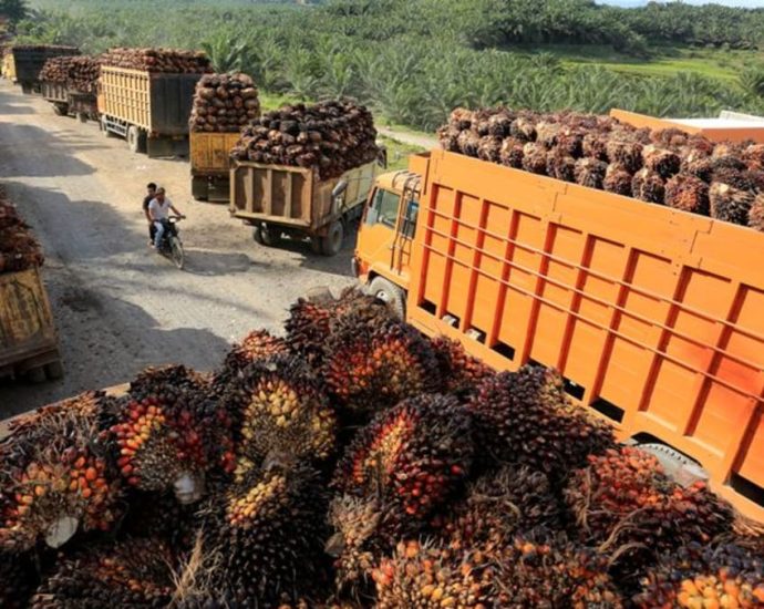 Indonesian prosecutors name 3 palm oil groups suspects in corruption case