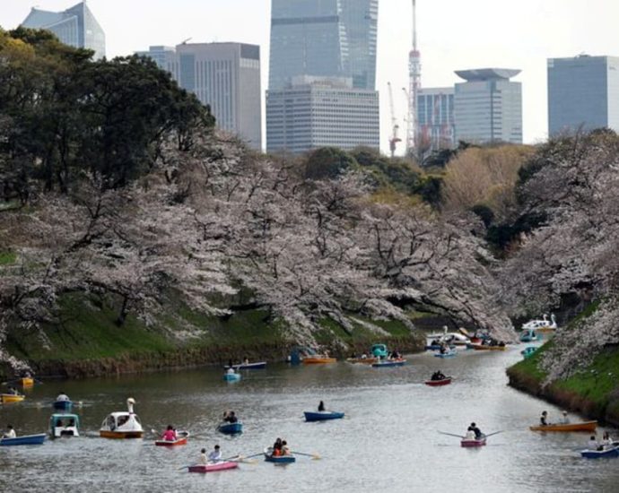 Japan sees 1.9 million visitors in May, down from cherry blossom rush