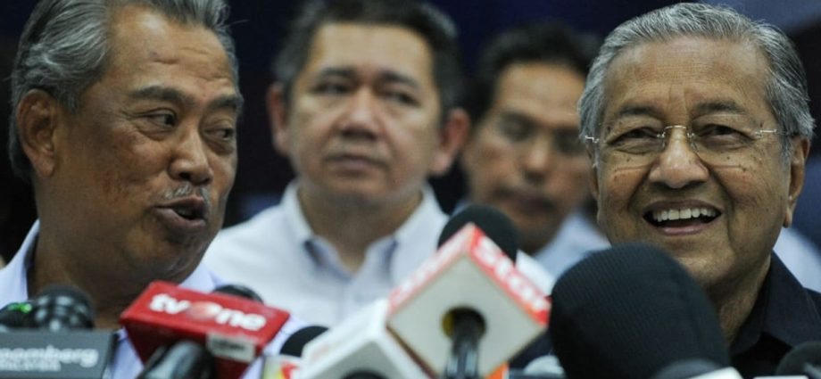 Mahathir says ready to work with Muhyiddin for Malay cause