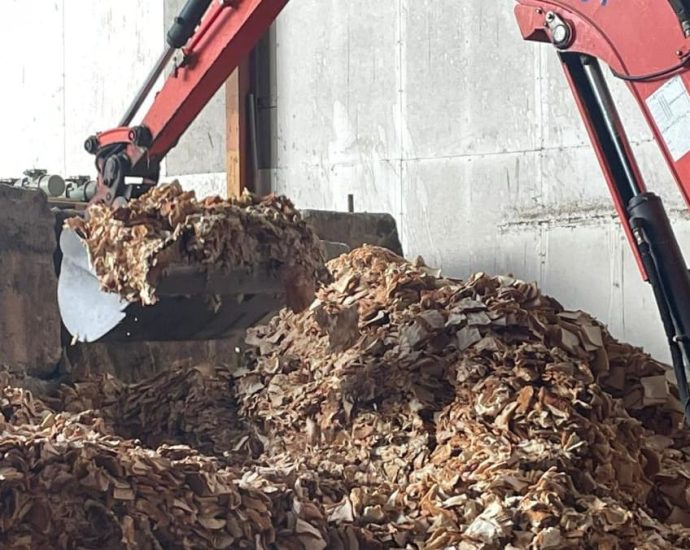 Making treasure out of trash: Firms turn food waste into compost, insect feed