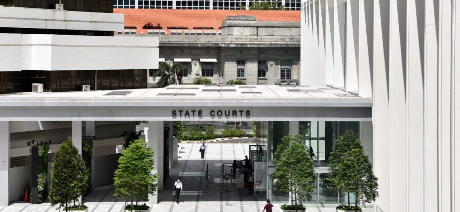 Man in Singapore on tuition grant and MOE bond used forged documents to extend stay, gets jail