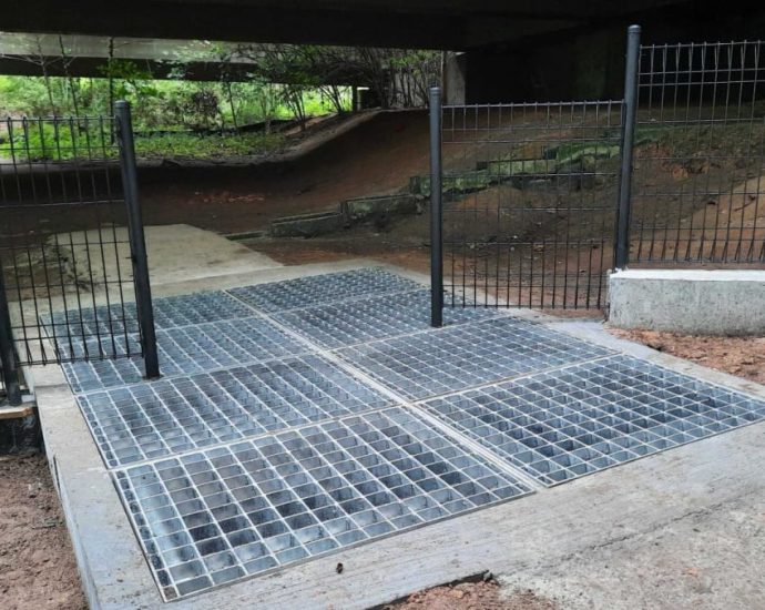 More fences, cattle grids to exclude boars from Bukit Panjang residential areas in wake of two attacks