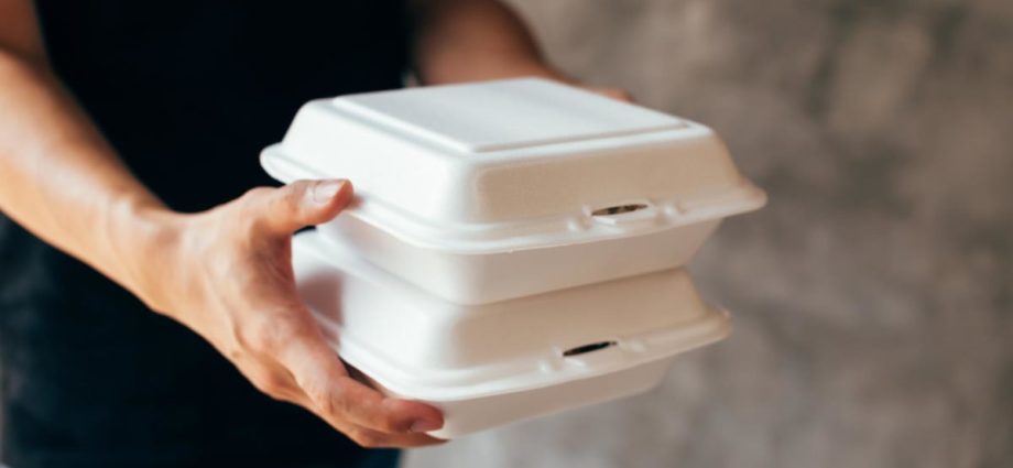 Mouse heads found in canteen lunch boxes in China highlight food safety concerns