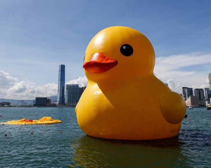 One of two giant rubber ducks in Hong Kong harbour deflates