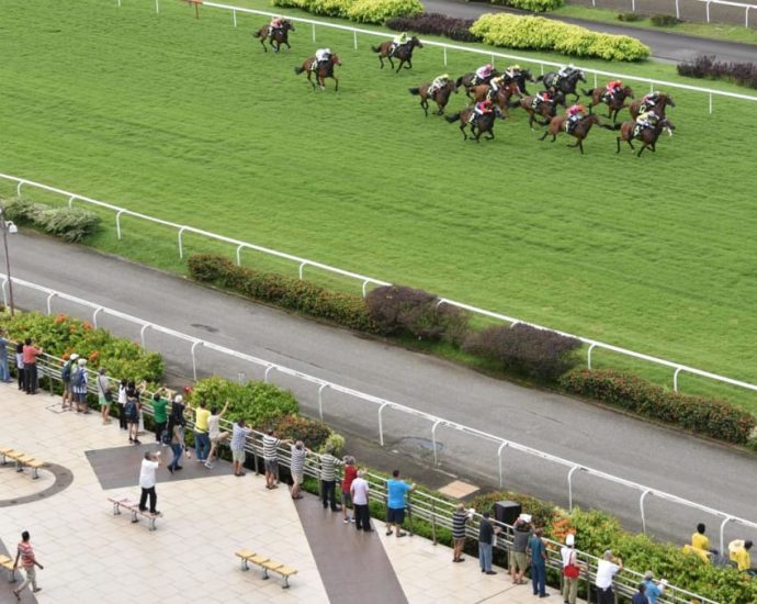 Racehorse owners, industry to appeal against Singapore Turf Club closure