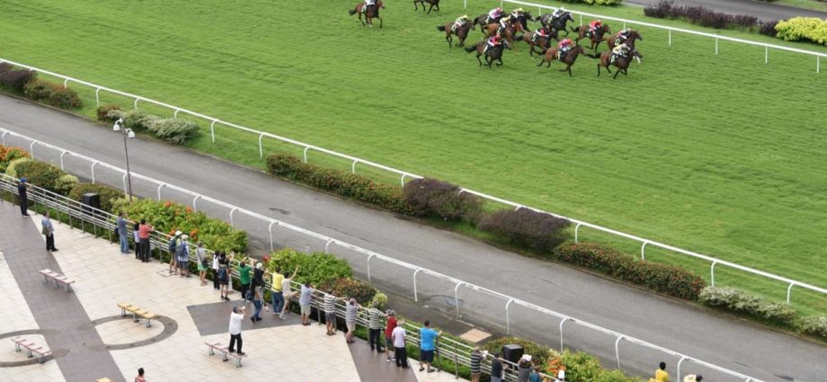 Racehorse owners, industry to appeal against Singapore Turf Club closure