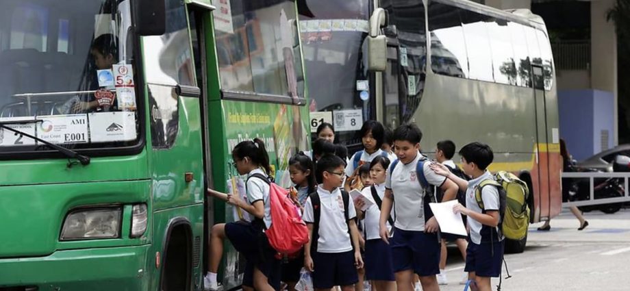 School bus operators should ensure common pick-up and drop-off points are safe for students: MOE