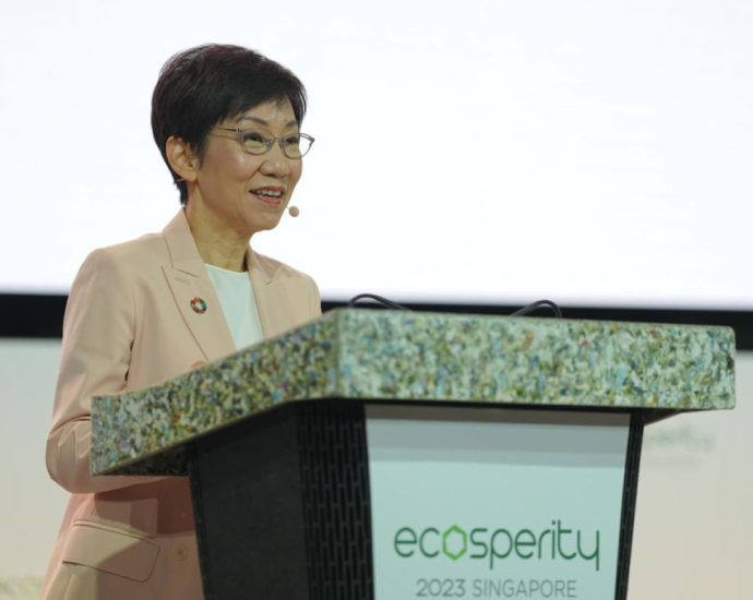 Singapore committed to decarbonisation goals while uplifting workers in the transformation: Grace Fu