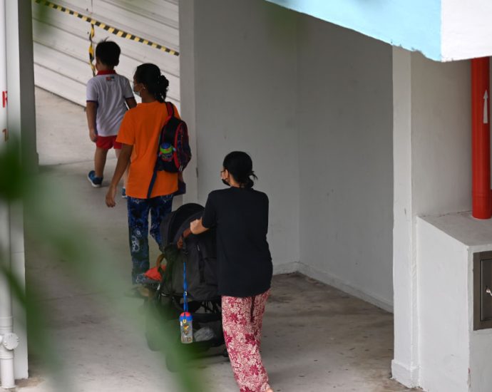 Singapore families hiring new Indonesian domestic workers may face delays