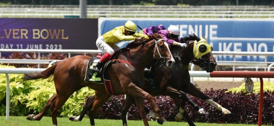 Some horse owners at Singapore Turf Club eye exit as early as August; closure may also affect Malaysiaâs racing scene