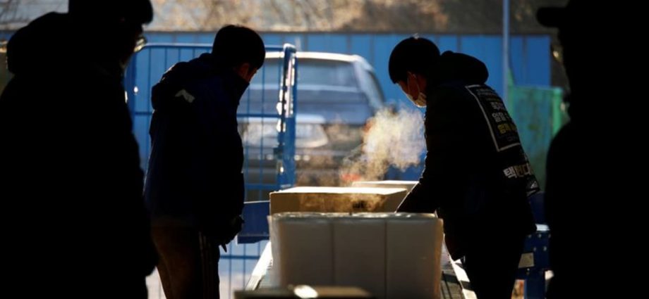 South Korea’s jobless rate in May falls to record low