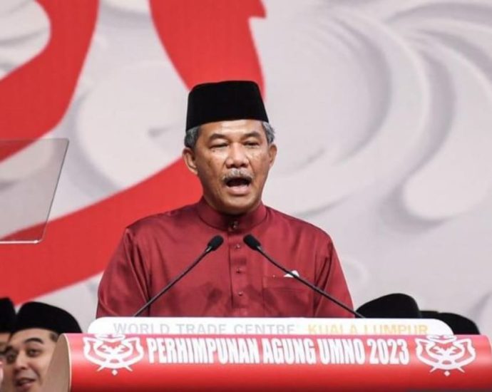 Success of Malaysia’s unity government crucial for UMNO’s survival, says party’s deputy president