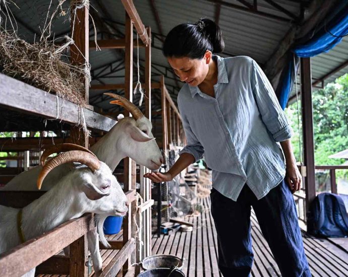 Thai cheesemaker finds her niche