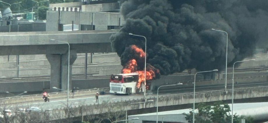 Tourists flee burning bus on expressway