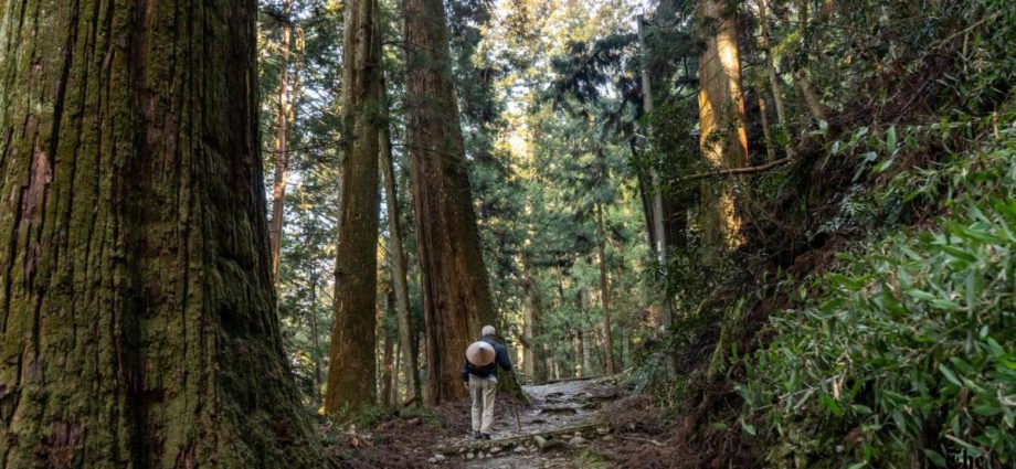 88 temples and breathtaking views: What itâs like to go on Japanâs Shikoku pilgrimage trail