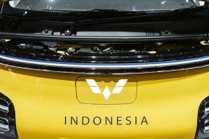 Australia-Indonesia in a budding EV symbiosis