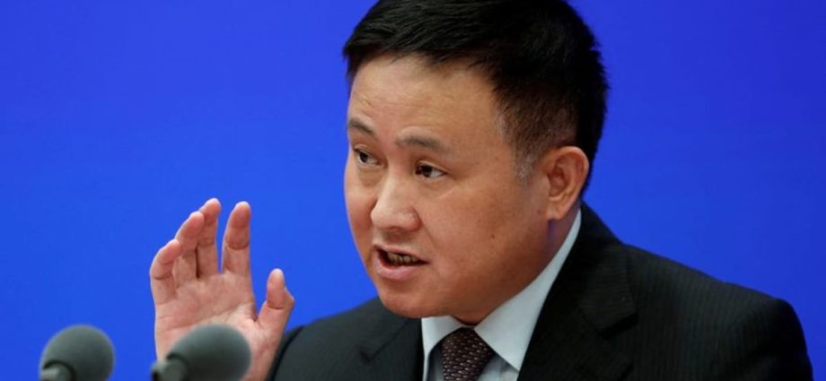 China forex regulator Pan Gongsheng named central bank party boss