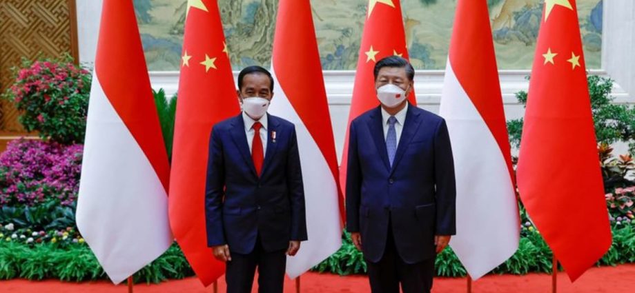 China open to deepen partnership with Indonesia, says Xi : State media