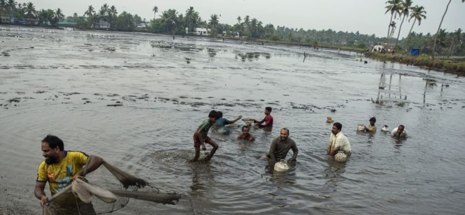 Commentary: India’s food security is being choked by climate change