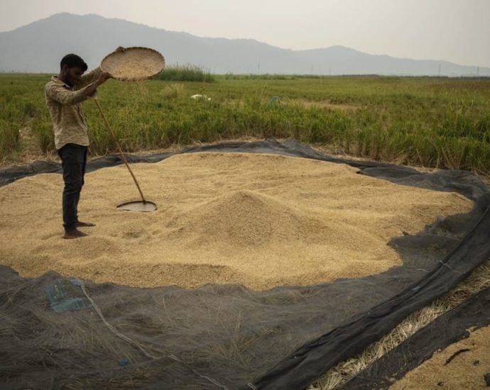 Commentary: India’s rice export ban will damage its claim to lead the Global South