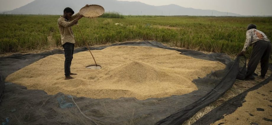 Commentary: India’s rice export ban will damage its claim to lead the Global South