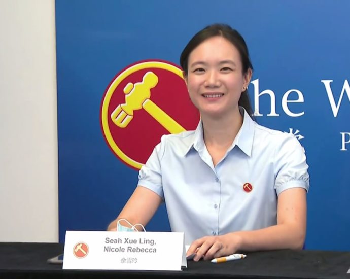 From opposition star to GE2020 comeback: The ups and downs of Nicole Seahâs political career