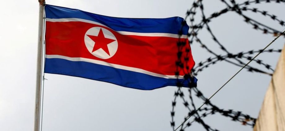 High-level Chinese delegation to visit North Korea: Report