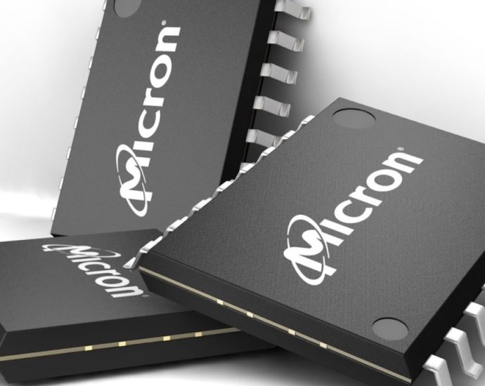 Indiaâs Micron deal follows a curious business model