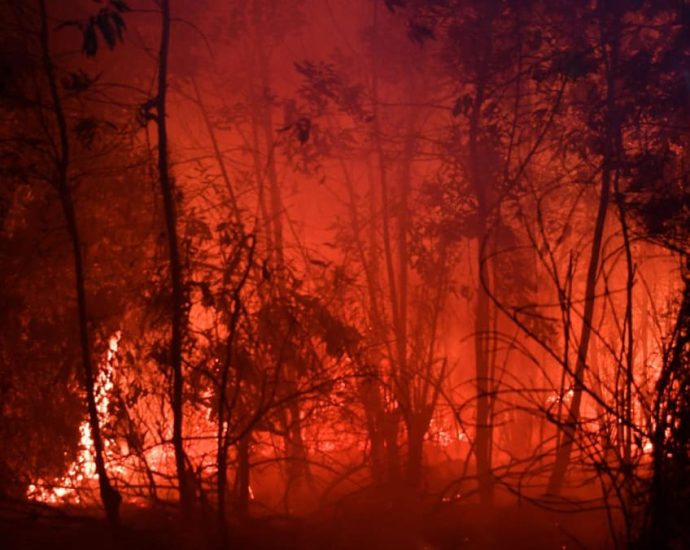 Indonesia sees rising wildfire risk amid dry weather conditions