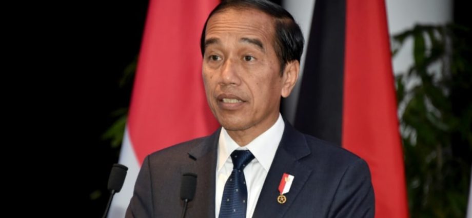 Indonesia's Jokowi appoints new communications minister in another Cabinet reshuffle