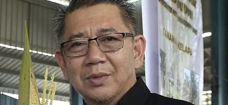 Malaysia domestic trade minister Salahuddin Ayub, 61, dies after surgery