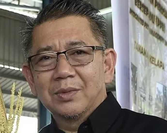 Malaysia domestic trade minister Salahuddin Ayub dies aged 61