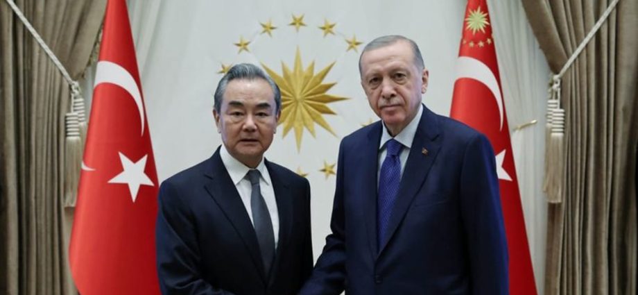 New Chinese foreign minister Wang Yi talks Ukraine in TÃ¼rkiye on first trip