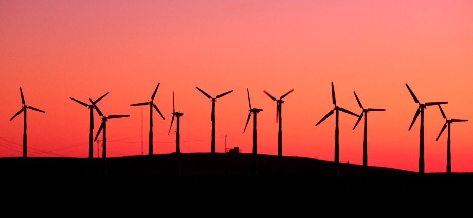 Opinion: E.U. tilting at windmills with new Deforestation Regulation