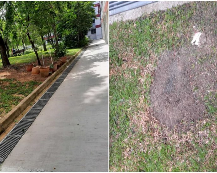 Rat holes in Pasir Ris covered up after residents complain of 'scary' rodent situation