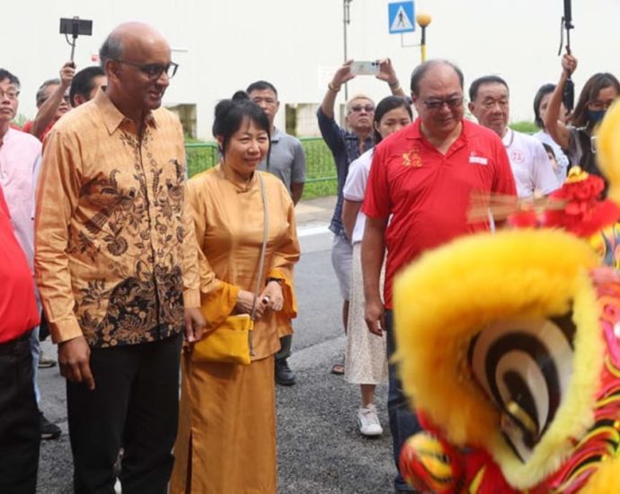 Singapore’s cultures can grow stronger by evolving, learning from each other: Tharman