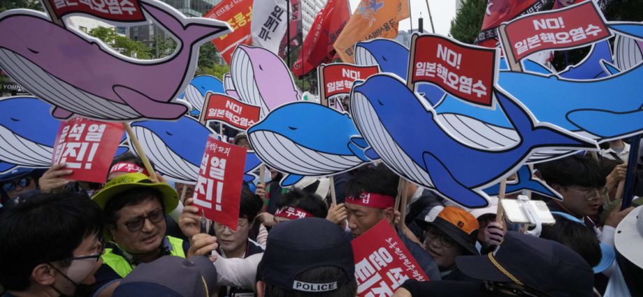 South Korean opposition step up pressure on government to condemn Japanâs Fukushima water release