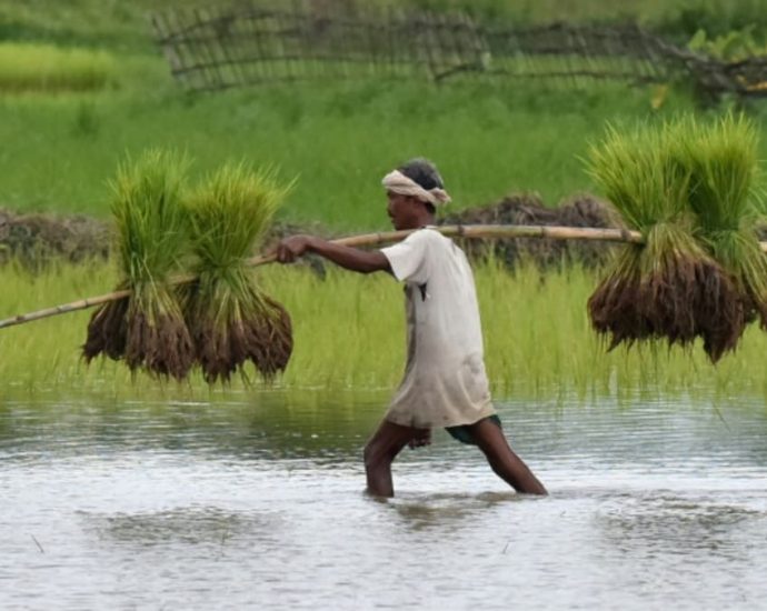 Top rice supplier India bans some exports