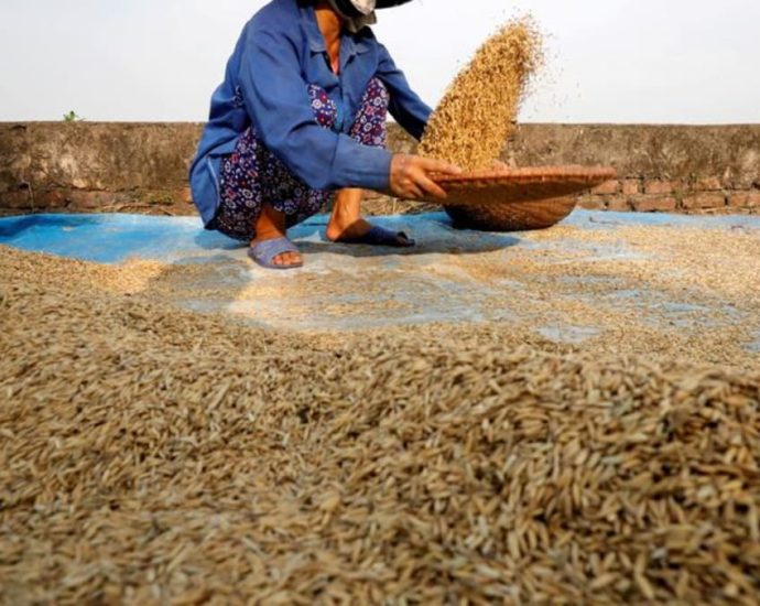 Vietnam food association official says no immediate plan to curb rice exports