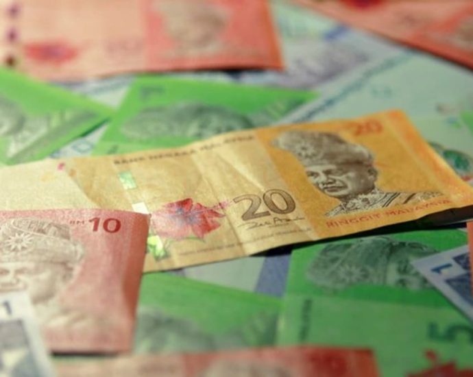 Volatility in the Malaysian ringgit to remain, policy tweaks could smoothen ride