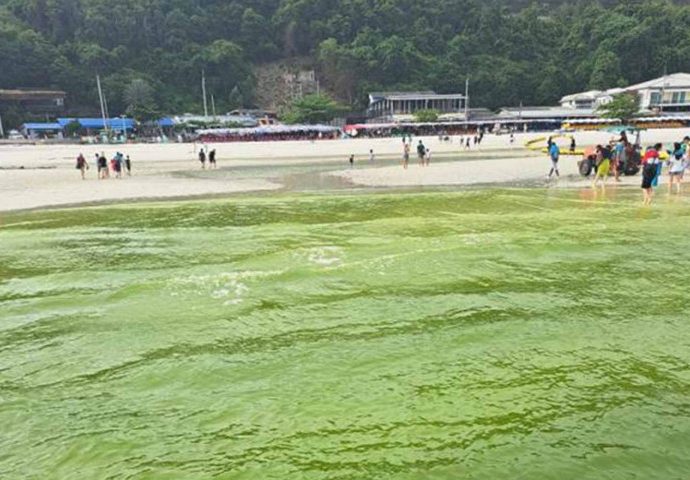 Waste blamed for Koh Lan's green waters